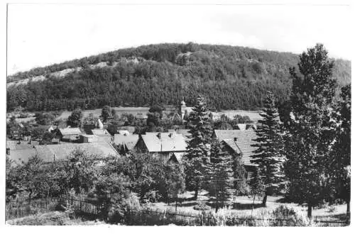 AK, Martinroda Thür. Wald, Teilansicht mit Veronikaberg, 1966