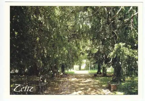 AK, Zeitz, Baumallee in der Theodor-Arnold-Promenade, um 2000