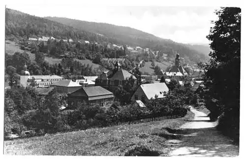 AK, Schmiedeberg Kr. Dippoldiswalde, Teilansicht, 1962