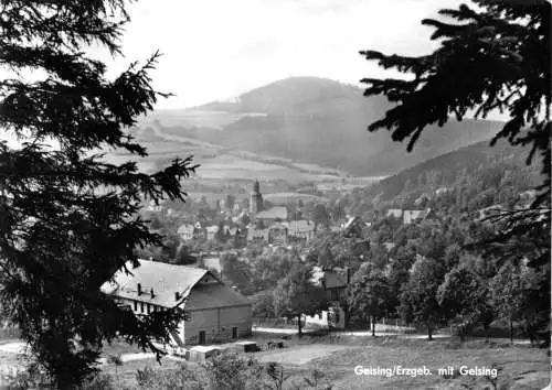 AK, Geising Erzgeb., Teilansicht mit Geisingberg, 1976