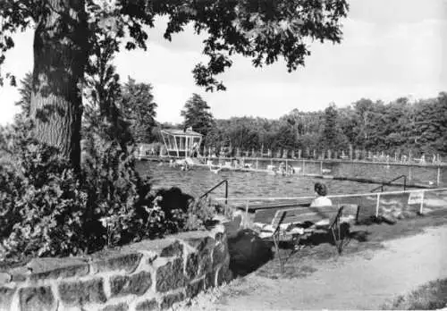 AK, Bad Düben, Freibad Hammermühle, belebt, 1975