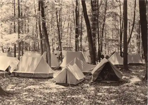 AK, Seebad Bansin Usedom, Campingplatz, 1962