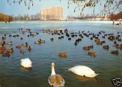 AK, Wolfsburg, Der Schillerteich im Winter, 1978