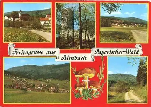 AK, Rimbach Bayer. Wald, 5 Abb., u.a. Übersicht, 1977