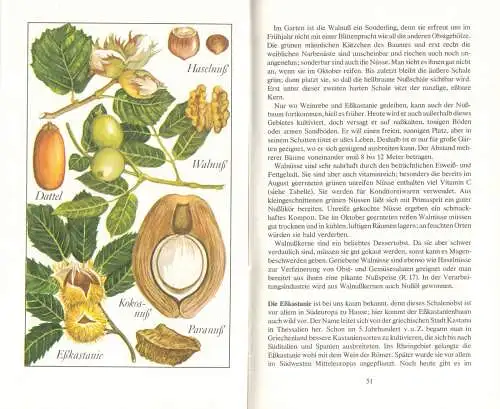 Needon, Christoph; Obst und Gemüse - Herkunft, Anbau, Zubereitung, 1980