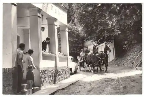 AK, Angermünde, HO-Hotel "Gehegemühle", Touristik mit Pferden, 1972