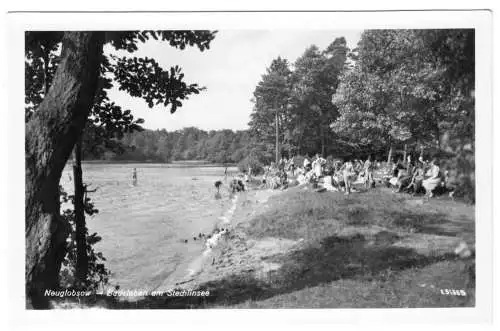 AK, Neuglobsow Kr. Gransee, Badeleben am Stechlinsee, belebt, 1956