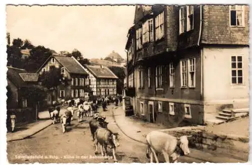 AK, Schmiedefeld a. Rstg., Kühe in der Bahnstr., 1958