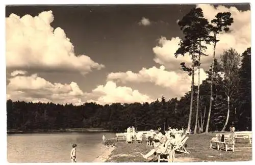 AK, Neuglobsow Kr. Gransee, Badestrand am Stechlin-See, belebt, 1962