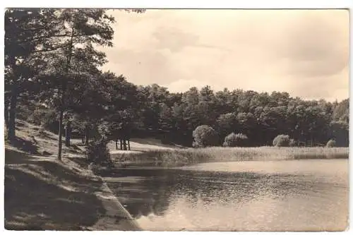 Ansichtskarte, Menz Kr. Gransee, Partie am Roofen-See, 1962