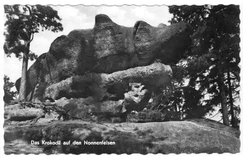 AK, Kurort Johnsdorf Zittauer Geb., Krokodil auf dem Nonnenfelsen, 1965