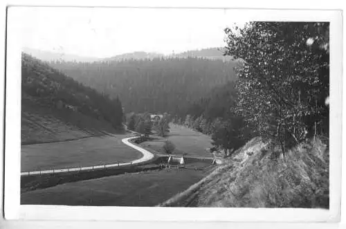 Ansichtskarte, Schönbrunn Kr. Hildburghausen, Tannenmühle, um 1954