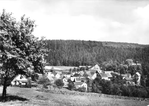 Ansichtskarte, Wolfersdorf Kr. Stadtroda, Teilansicht, 1975