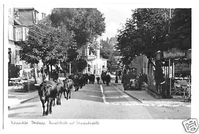 Ansichtskarte, Hahnenklee Oberharz, Straßenansicht, 1951