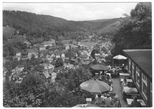 AK, Schwarzburg Thür., Blick von der Hotelterrasse "Schwarzaburg", 1966