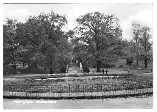 AK, Freiberg Sa., Partie im Scheringerpark, 1969