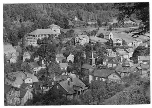 AK, Schwarzburg Thür., Teilansicht, 1971