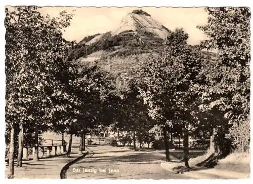 AK, Jena, Straßenpartie mit Blick zum Jenzig, 1959