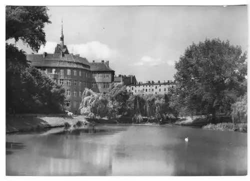 AK, Berlin Weißensee, Partie am Goldfischteich mit Gebäuden, 1963