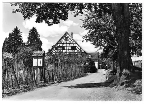 AK, Nonnenhorn Bodensee, Straßenpartie, um 1960