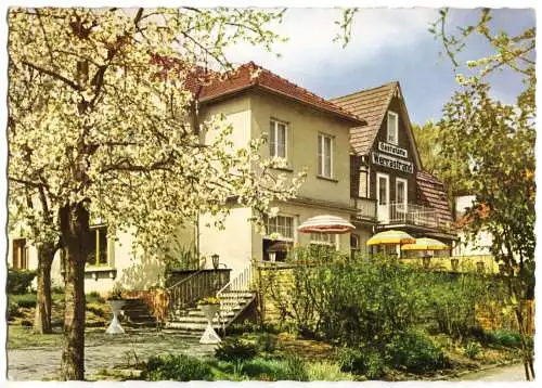 AK, Hann. Münden, Hotel und Pension Werrastrand, um 1965