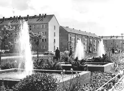 AK, Riesa Elbe, Neubauten an der Greifswalder Str. 1973