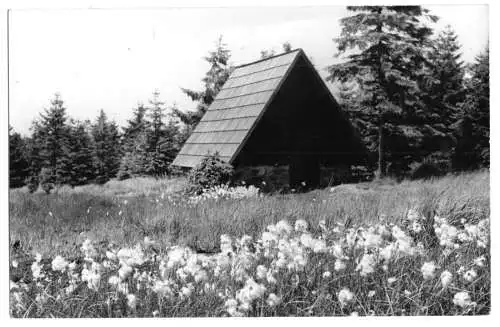 AK, Zinnwald-Georgenfeld Erzgeb., Georgenfelder Hochmoor, 1960