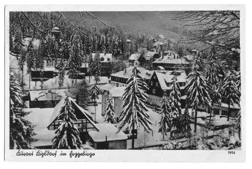 AK, Kurort Kipsdorf, Erzgeb., winterl. Teilansicht 1949