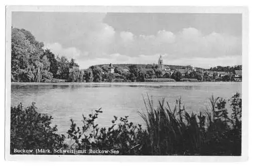 AK, Buckow Märk. Schweiz, Seeansicht, 1951