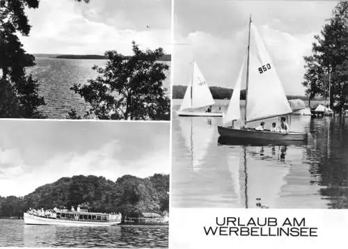 AK, Werbellinsee, Kr. Eberswalde, drei Abb., Urlaub am Werbellinsee, 1983