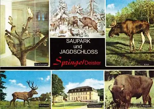 Ansichtskarte, Springe Deister, Saupark und Jagdschloß, sechs Abb., 1984