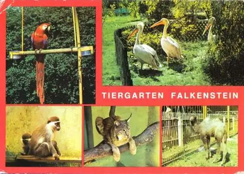 Ansichtskarte, Falkenstein Vogtl., Tiergarten Falkenstein, fünf Abb., 1981