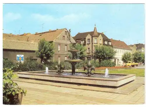 AK, Elsterwerda Kr. Bad Liebenwerda, Elsterbrunnen am Markt, 1981