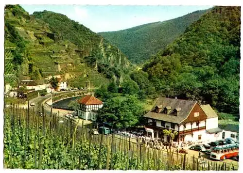 AK, Walporzheim, Bauernschenke oberhalb von Walporzheim, um 1962