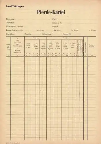 Pferde-Kartei, Land Thüringen, Blatt blanko, 1946