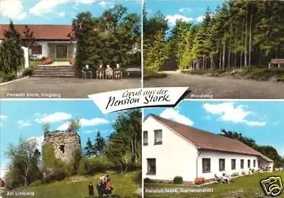 Ansichtskarte, Bad Holzhausen Kr. Lübbecke, Pension Haus Stork