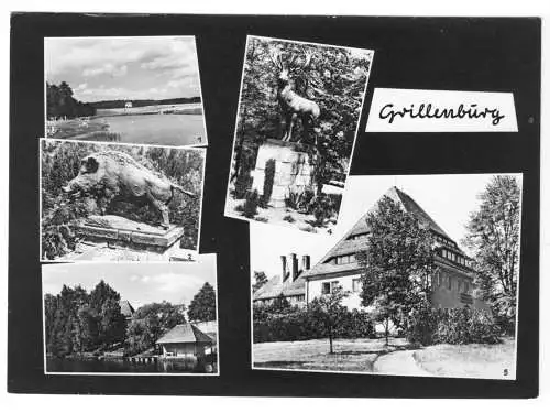 AK, Grillenburg im Tharandter Wald, fünf Abb., gestaltet, 1967