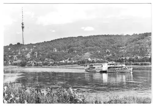 AK, Dresden Wachwitz, Blick über die Elbe zum Fernsehturm, Dampfer E. Thälmann