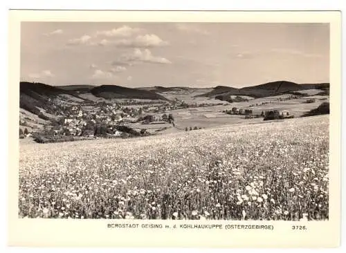 AK, Geising Osterzgeb., Totale mit Kohlhaukuppe, 1966