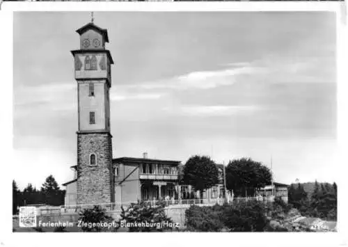 AK, Blankenburg Harz, Ferienheim Ziegenkopf, 1955