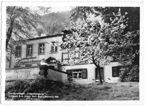 Ansichtskarte, Krippen Elbe, Landgasthaus "Ziegelscheune", 1968