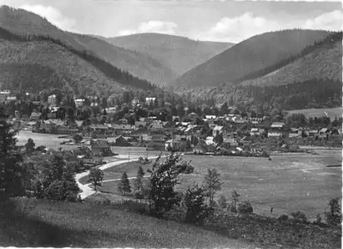 AK, Tabarz Thür. Wald, Teilansicht, 1963