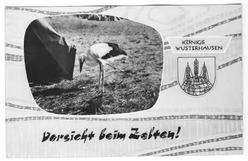 AK, Königs Wusterhausen, Vorsicht beim Zelten, Storch, Wappen, 1963