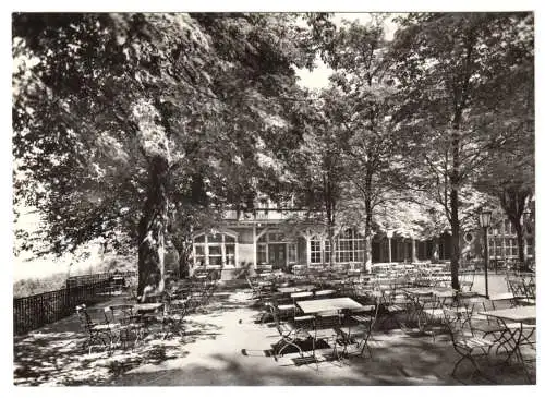 AK, Löbau Sa., HO-Gaststätte "Honigbrunnen", Restaurantgarten, 1968