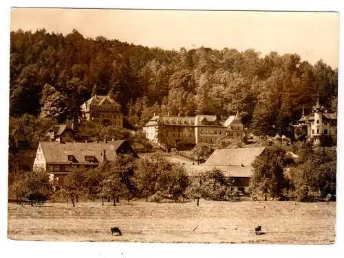 AK, Kurort Rathen Sächs. Schweiz, Partie im Felsengrund, 1963