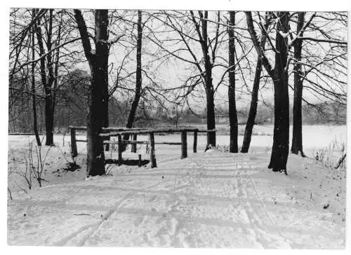 AK, Grünheide Mark, OT Alt Buchhorst, Am Sprudel, Winteransicht, 1964