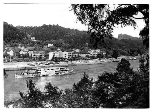 AK, Bad Schandau, Elbansicht mit Dampfer "Wilhelm Pieck", 1971