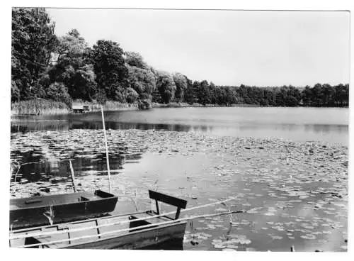 AK, Wandlitzsee, Die drei Heiligen Pfühle, Am ersten Pfuhl, 1964