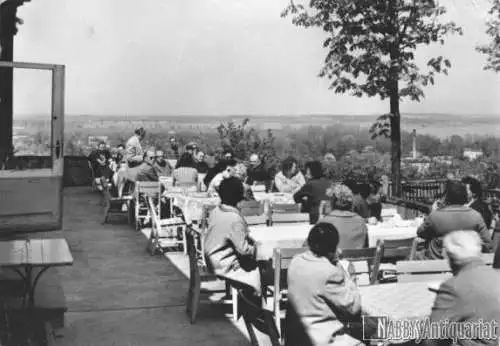 Ansichtskarte, Werder Havel, Friedrichshöhe, Terrasse, 1965