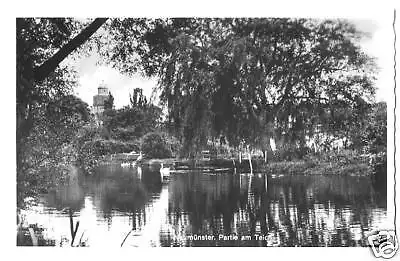 AK, Neumünster, Partie am Teich, 1961